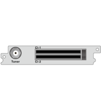 Карта демодулятора PBI DCP-1000DC2
