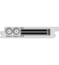 Карта демодулятора PBI DCP-1000DS2
